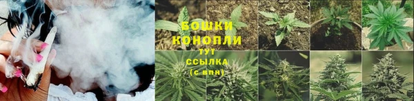 гашик Липки