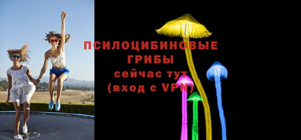 соль ск Лиски