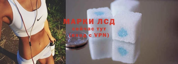 гашик Липки