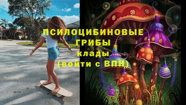 гашик Липки