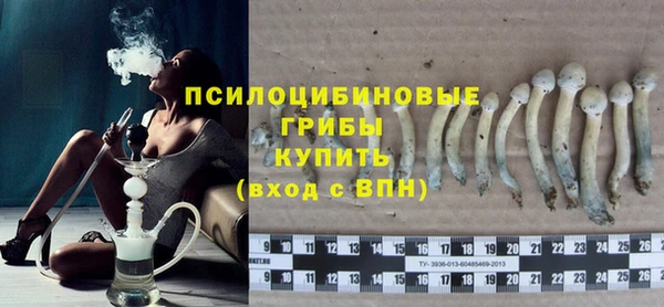 гашик Липки