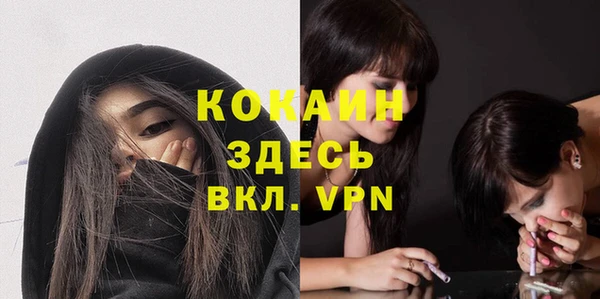 соль ск Лиски