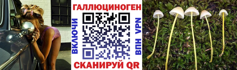 Псилоцибиновые грибы Magic Shrooms  Купить где  Ивдель 